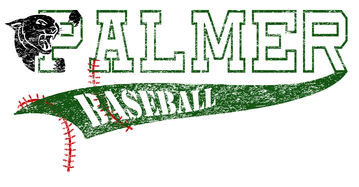 Palmer Baseball Vintage Hoodies