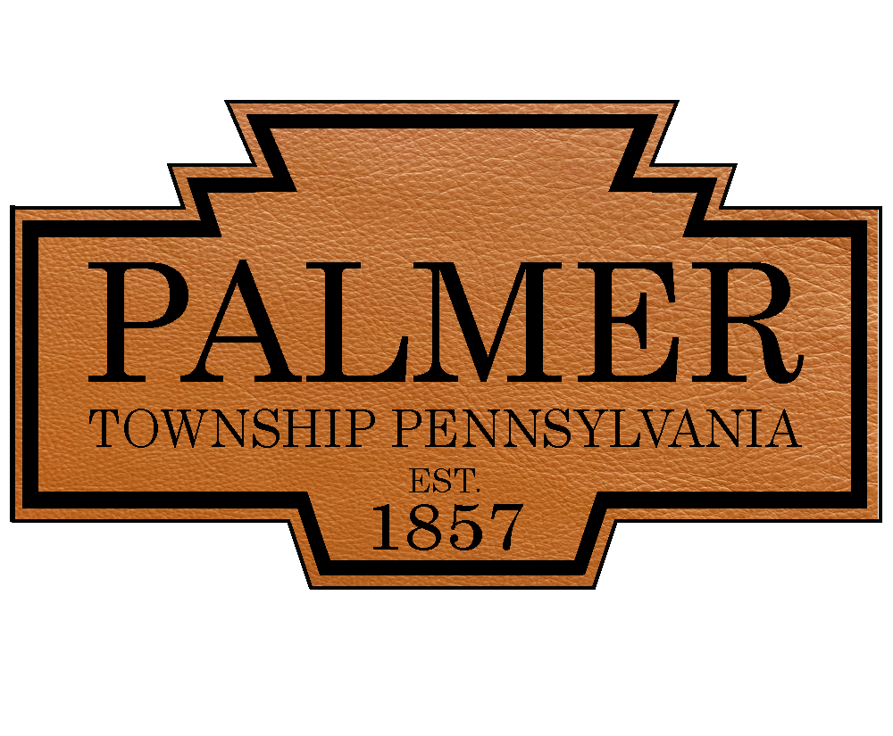 Palmer Township PA Leather Patch Hat