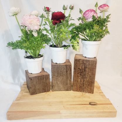Barn Beam Pedestal Plant Stands