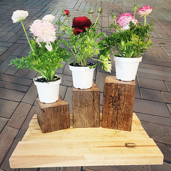 Barn Beam Pedestal Plant Stands