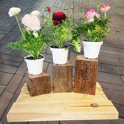 Barn Beam Pedestal Plant Stands