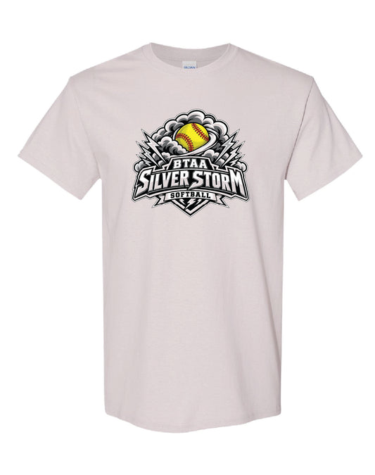 BTAA Silver Storm Softball Tee Shirts